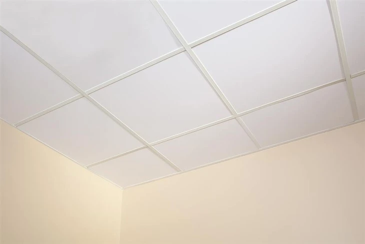 PVC Drop Ceiling